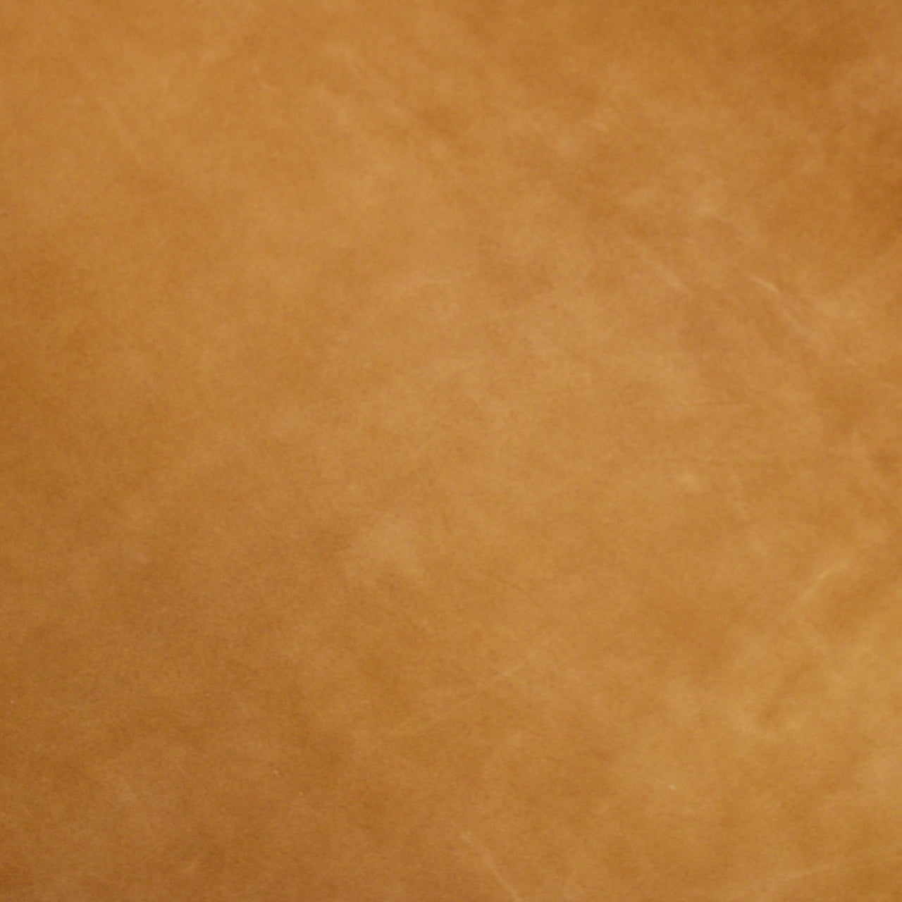 AMORE SUEDE