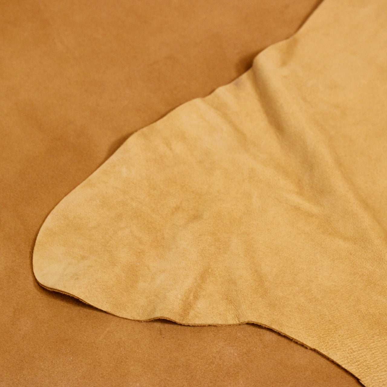 AMORE SUEDE