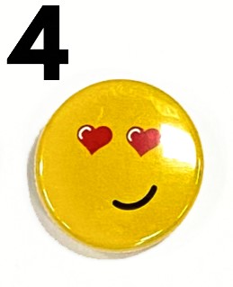 ASSORTED PINS
