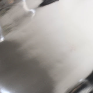 flat view of the chrome patent leather hide face