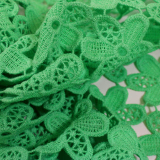 close-up of spring green flower lace