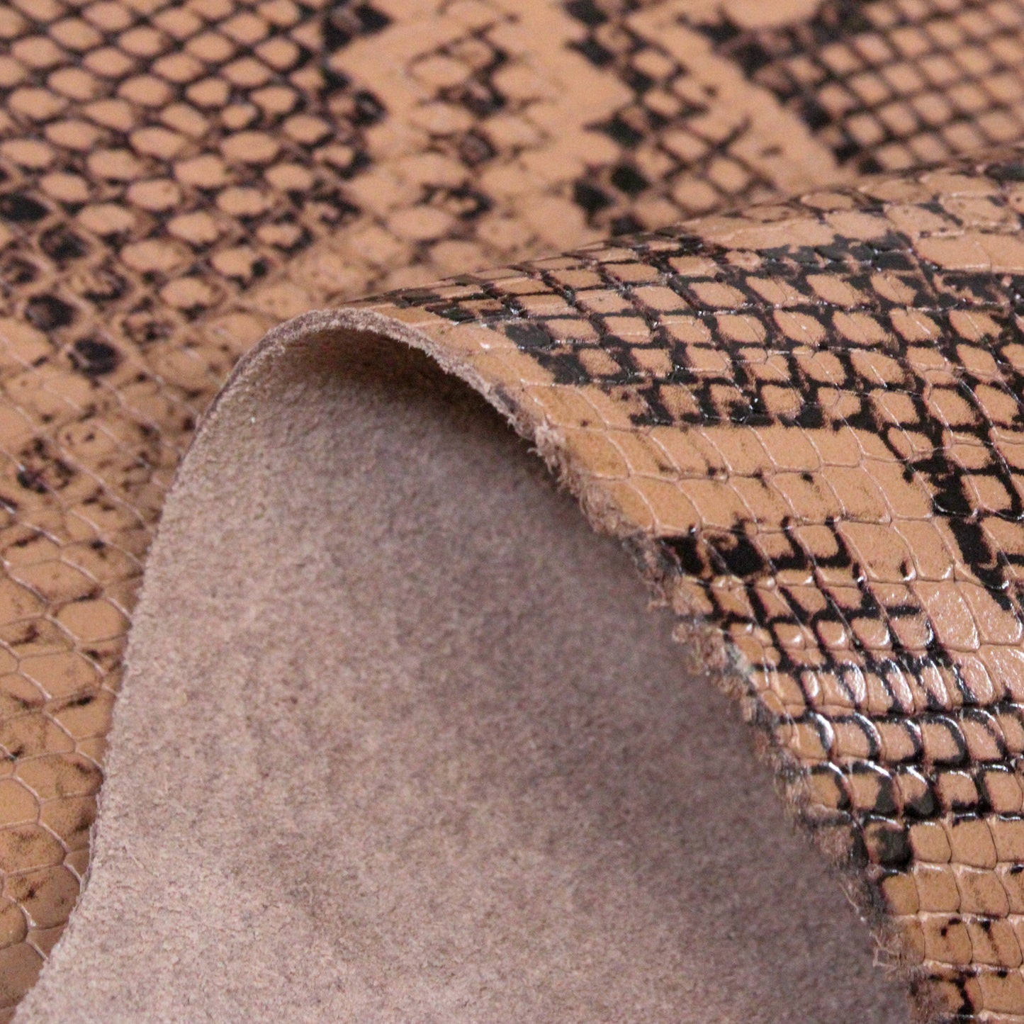 LARGE TAN SNAKESKIN LEATHER